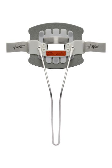 Picture of Aspen® CTO BACK PANEL